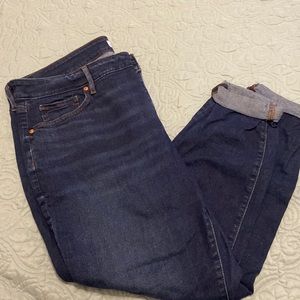 Loft Plus skinny jeans